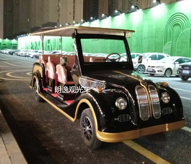 看房电瓶车