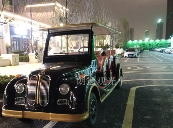 看房电瓶车