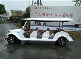 看房电动车
