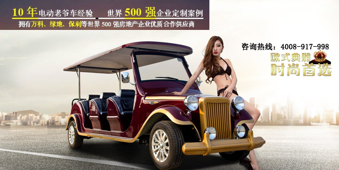 朗丰款8座电动老爷车