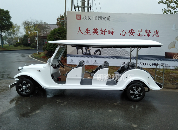 看房电动车